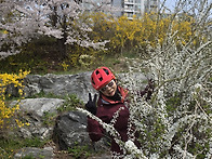 4월3일 금정라(번짱:대들보..