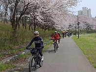 4월 3일 금요일 탄천따라 ..