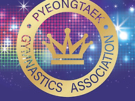 제4회 평택시 체조협회장배..