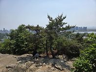 25.05.25 청량산..