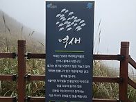 제155회 정기산행..