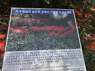2026년 9월19일 선운산 ~..
