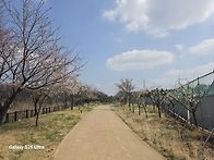 계양산//지수파파..