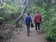 25.05.08 청량산..