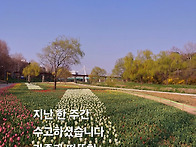 핸드폰 카메라 사진 1