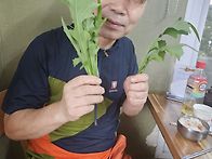 아차야 놀자