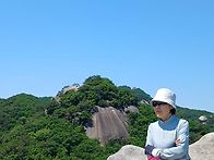 도봉사패 명품코스