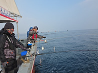 2월5일 목요일 조황은 점..