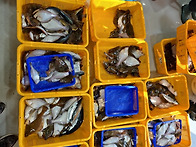 2월 15일 일요일 거진항 ..