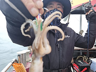 4월 21일 무창포 봄 알쭈..