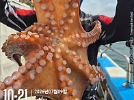 7월9일 통영 돌문어 초 대..
