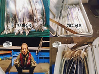 5월 21일 조업