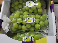 선물용 가정용 샤인 머스켓..