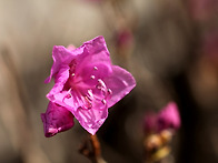 4월이 오면... ..