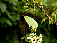 7월 26일 광덕산