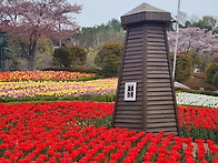 대한국민 울산광역시 울산..