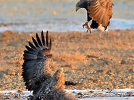 경주 천년숲정원,포항 형산..