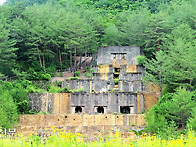 영양 자생화골원과{구}용화..