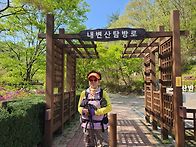 부안내변산