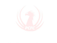 [2025년 피닉스헤지사모펀..