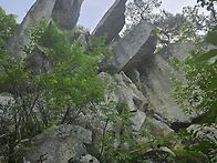 7/5 ＜보해산＞ 번개산행 ..