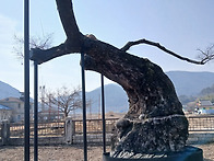 의령의 자랑 ~곽재우 생가..