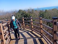 울산 마골산 산행..