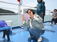 KTX 청산도.보길도 여행기
