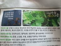 2025년6월20/21영월10경..