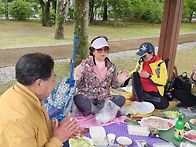 [[서울대공원 장미원에서]]