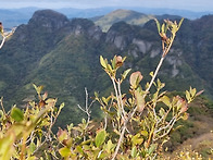 청량산