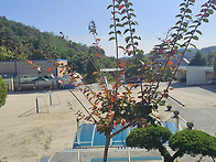 2026년9월30일 ..