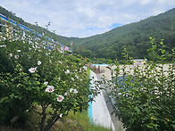 2026년8월19일 ..