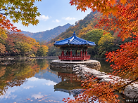 2026년 11월 산행지 예고