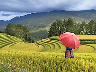 못난이 농산물로 화장품 ..
