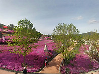 산청국제조각공원