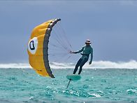 파라윙 하면 역시..