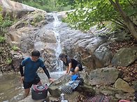 수도권 지부산행 사진만
