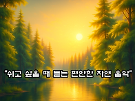 망고농장에 틀어주..