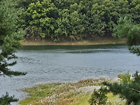 잠실주공5단지 시..