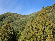 잠실주공5단지 시..