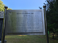 지직 선조님 묘역