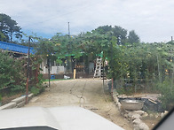 24년 추석 수세미