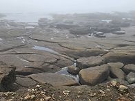 꿩 대신 닭?(1) 채석강&내..