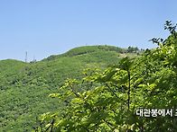일월산(경북.영양) 연우2..