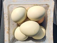 ☆올리브 에거 알☆