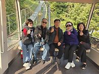 강진&함평국화축제..