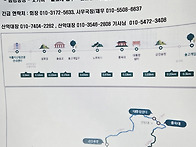 대관령 금강소나무 숲길