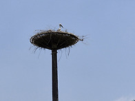 예산 황새공원