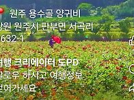 원주 (5~6월 9~10월)